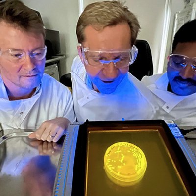 three people in safety glasses and white coats look at a glowing round yellow dish on a metal table